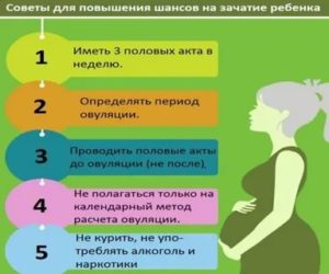 Не получается забеременеть полгода, что делать?