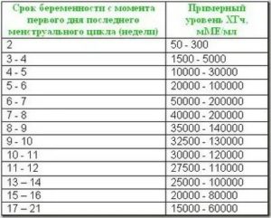 ХГЧ после медикаментозного аборта