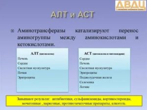 Почему АСТ выше АЛТ?