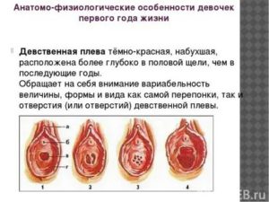 При лишении девственности нет крови