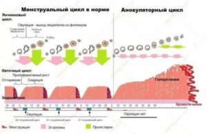 Отсутствие овуляции, эндометрий не растёт и фолликулы не развиваются