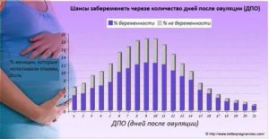 Какова вероятность того, что девушка забеременеет?