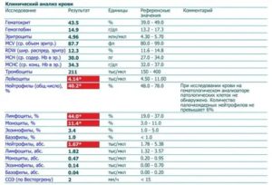 Повышены лимфоциты, моноциты и СОЭ