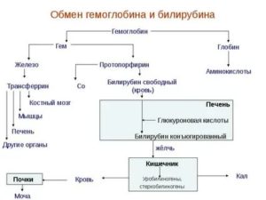 Повышен билирубин и гемоглобин