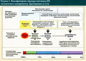 Повышен ферритин в крови