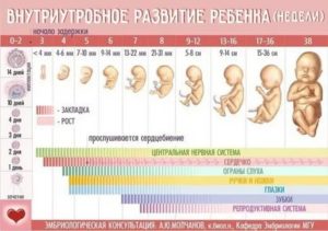 Задержка после аборта: вероятность беременности