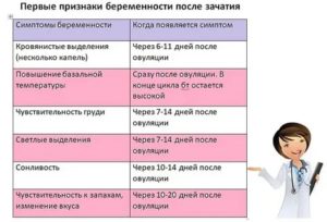 На какой день видны признаки беременности?