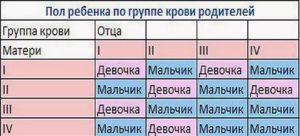 На каком сроке беременности возможно определить пол ребенка?