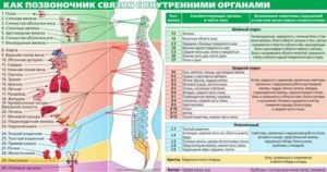 Можно ли спутать дорсопатию грудного отдела позвоночника с болезнью органов ЖКТ?