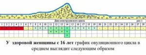 Овуляция при нестабильном цикле