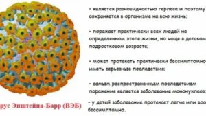 Чем опасен ВЭБ при беременности?