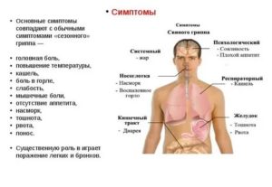 Диарея,  температура,  насморк, слабость, боль в горле,  кашель,  боль в животе