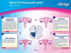 Сбился менструальный цикл
