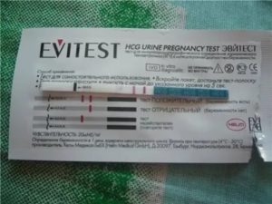 Применение теста на беременность при патологии почек