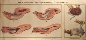 Кровянистые выделения через 7 недель после родов