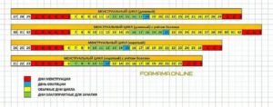 Как правильно считать дни месячных?