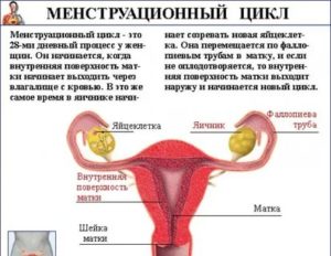 По какой причине нет менструации?