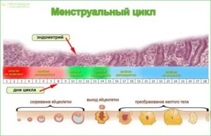 Менструация идёт 20 дней, это норма?