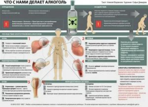 Последствия голодания и приема алкоголя