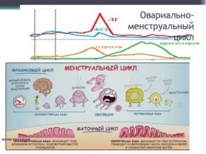 Месячные не по графику, что делать?