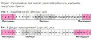 Можно ли забеременеть на 16 день цикла?