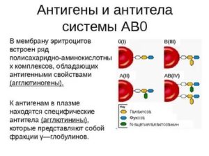 Анализ крови на групповые антитела и антитела по АВ0 системе - это одно и то же?