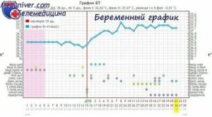 Опасна ли температура 37 на 6-й неделе?