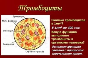 Понижены лейкоциты и тромбоциты