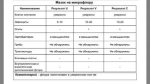 Расшифруйте, пожалуйста, мазок на флору