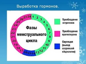 Как определить, что менструация в этом цикле закончилась?