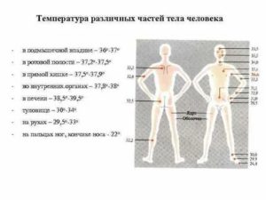 Разная температура во рту и подмышкой