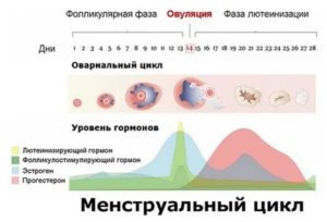 Может ли влиять на анализ то, что  последний сдан во время менструации?