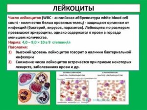 Понижены лейкоциты и тромбоциты