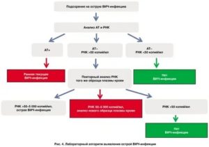 Схема диагностики вич