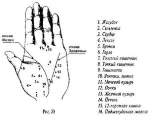 Что это за линии на ногах?