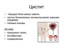 Прошел курс лечения от эрозий в желудке, болит низ живота, частые позывы в туалет?