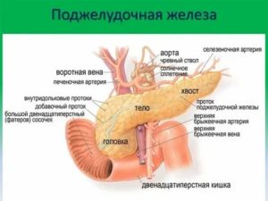 Дергается поджелудочная