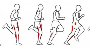 Забиваются берцовые мышцы при беге