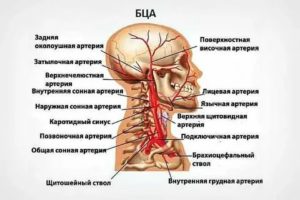 Что такое дуплекс ТК и БЦ сосудов?