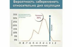 ПА в день овуляции - возможно ли зачатие?