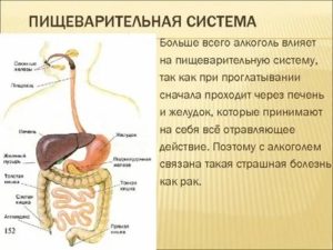 Влияют ли стрессы на желудок и печень?