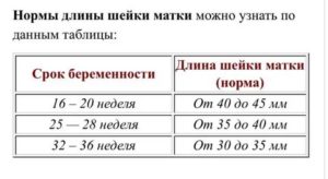 Какова норма шейки матки на 31 неделе беременности?