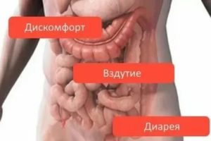 Беспокоит бурление в животе и диарея