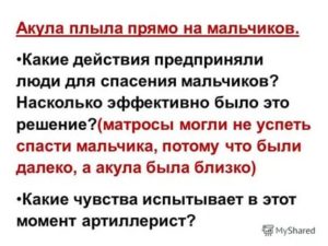 Какие действия предпринимать дальше?