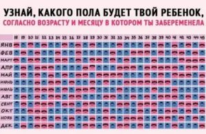 На каком сроке беременности возможно определить пол ребенка?