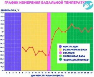 Температура после полового акта