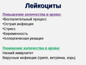 Почему повышены лейкоциты?