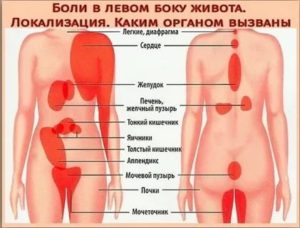 Второй день болит живот внизу слева