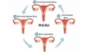 Что может служить причиной задержки менструации у девственницы?