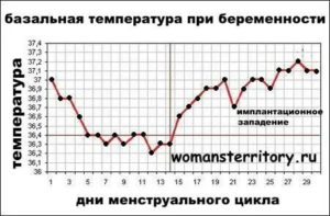 Температура на 38 неделе беременности,  что делать?